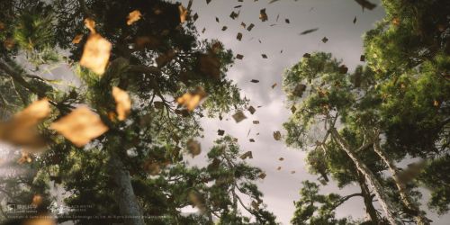 blackmyth_wukong_wallpaper_030